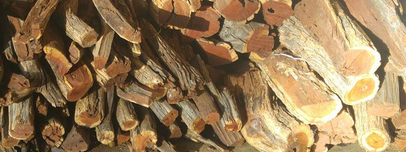 braai wood